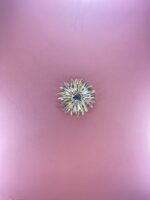 Radiant Crystal Starburst Brooch - Image 4
