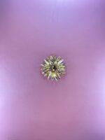 Radiant Crystal Starburst Brooch - Image 3